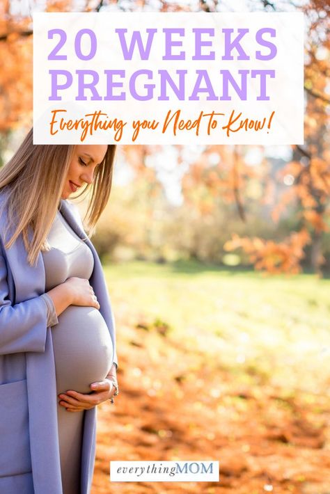 Pregnancy Calendar, 20 Weeks Pregnant, Pregnancy Massage, Pregnancy Help, Newborn Baby Tips, Pregnancy Information, Mom Life Hacks, 20 Weeks, Second Trimester