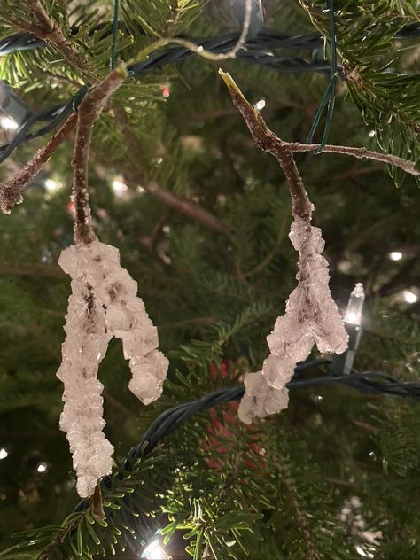 DIY Crystal Ornaments made from Borax Borax Crystal Ornaments, Diy Icicle Ornaments, Borax Crystals, Icicle Ornaments, Ice Crystals, Santa Decorations, Crystal Ornament, Diy Crystals, Activities To Do