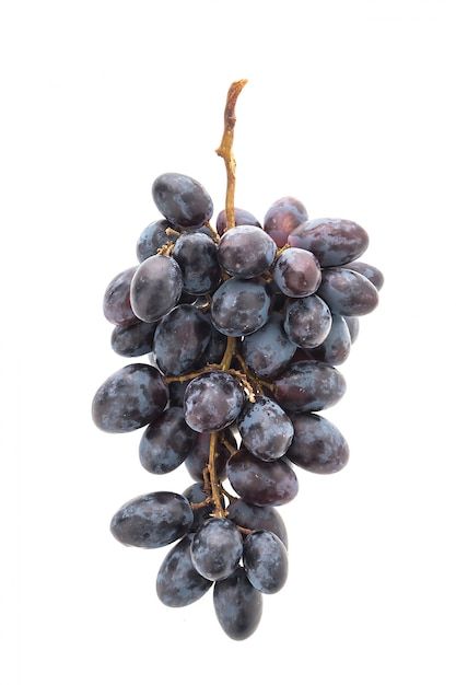 Healthy Harvest, Garden Fruit, March 5th, Black Grapes, Fruits Images, Beautiful Fruits, Grape Bunch, Green Grapes, Fruits Basket