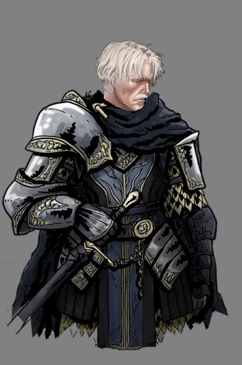 Dnd Paladin, Old Warrior, Knight Art, Dungeons And Dragons Characters, D&d Dungeons And Dragons, Dnd Art, Dungeons And Dragons Homebrew, Fantasy Armor, Fantasy Concept Art