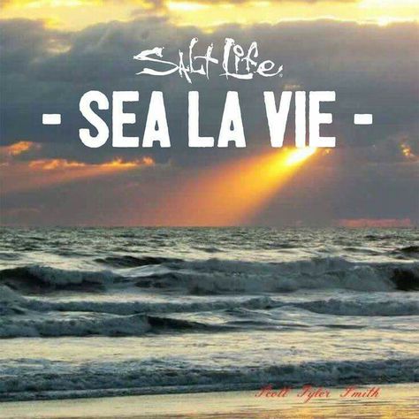 Quotes Sea, Florida Quotes, Beachy Quotes, Beach Life Quotes, Vacation Captions, Island Quotes, Sea Quotes, Beach Captions, Fish Clothing