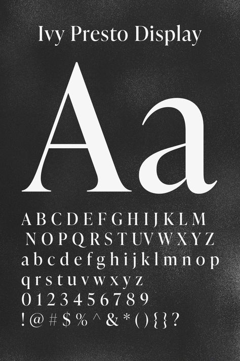 Creative Fabrica Display fonts Ivy Presto Font, Serif Typeface Poster, Typeface Poster, Squarespace Web Design, Display Typeface, Type Foundry, Display Fonts, Website Header Design, Favorite Fonts