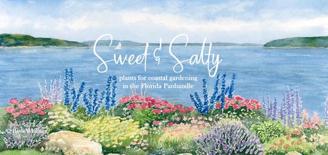 Sweet and Salty: plants for coastal gardening in the Florida Panhandle - Tallahassee Nurseries | Tallahassee's Premier Garden Center & Landscaping Florida Panhandle Landscaping Ideas, Coastal Landscaping Ideas, Panhandle Florida, Coastal Landscaping, Florida Garden, Cottage Gifts, Florida Panhandle, Bald Cypress, Florida Gardening