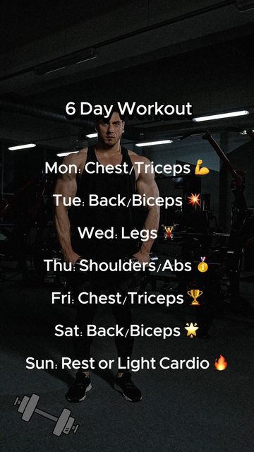 6 Day Workout Split, Gym Split, Exercise Schedule, Workouts Plan, Workout Split, Work Out Routines Gym, Personalized Workout Plan, Gym Workout Program, Workout Splits