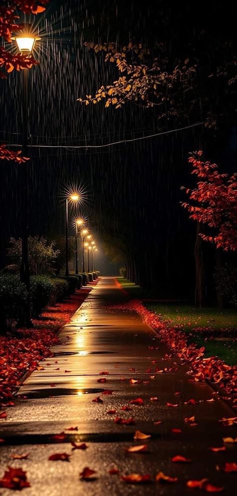 Hd 8k Wallpapers, Fall Rain Aesthetic, Rainy Day Wallpaper, Wallpaper Maker, Rain Wallpapers, Iphone Wallpaper Hd Nature, Street Lights, Autumn Scenery, Beautiful Landscape Wallpaper