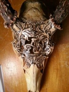 Amazing Deer-Skull Engraving! | Big Deer European Mounts, Deer Skull Mount, Animal Skull Decor, Deer Skull Art, Cow Skull Decor, Cow Skull Art, European Mount, Big Deer, Dremel Crafts