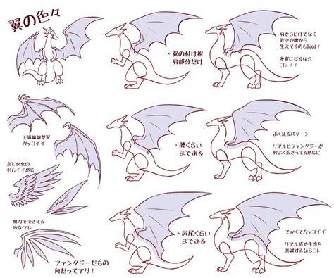 Draw A Dragon, Dragon Poses, Dragon Anatomy, Wings Drawing, Dragon Sketch, Creature Artwork, Dragon Drawing, Creature Concept Art, Arte Fantasy