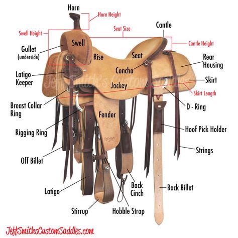 Saddle-Parts Horse Barn Ideas Stables, Jeff Smith, Horse Information, Custom Saddle, Western Saddles, Barrel Saddle, Pick Holder, Email Subject Lines, Horse Drawing