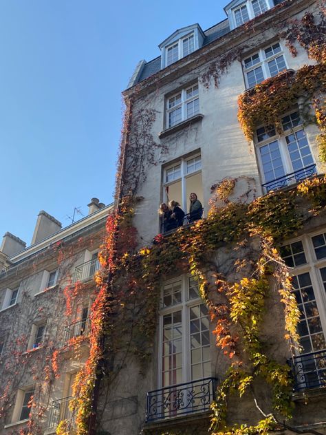 French Autumn Aesthetic, Paris In Autumn Aesthetic, Old Money Autumn Aesthetic, Paris Autumn Aesthetic, Autumn Aesthetic Green, Red Autumn Aesthetic, France Vibes, French Autumn, Fall In Paris