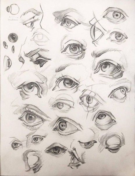 Mata Manga, Draw An Eye, Draw Eye, Lips Tutorial, Eye Study, Eye Anatomy, Realistic Eye Drawing, Beauty Drawings, Eye Drawing Tutorials