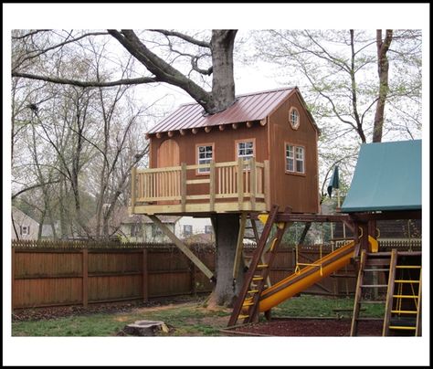 Treehouse Platform, Treehouse Plans, Tree Platform, Adult Tree House, Custom Treehouse, Treehouse Construction, Treehouse Design, Simple Tree House, Tree House Plans