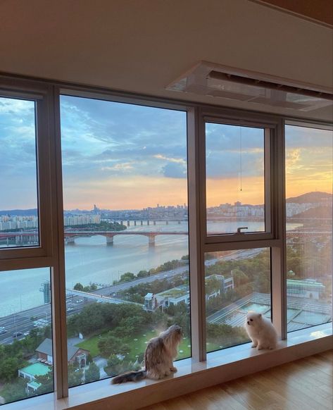 Korean Apartment View, Gangnam Apartment Luxury, Nyc Apartment Big Windows, Big Korean Apartment, Rich Korean Apartments, Big Window Apartment, Korean Apartment Building, South Korea Apartment, Apartment With Big Windows