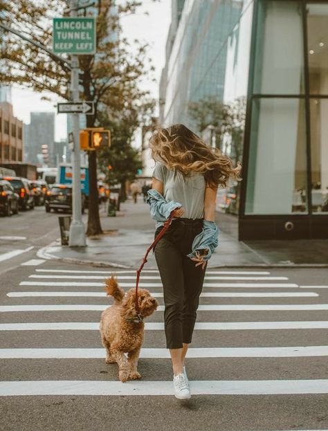 Minature Goldendoodle, Dog Owner Photoshoot, Golden Doodles, Dog Mommy, Photos With Dog, Dog Photoshoot, City Dog, 강아지 그림, Mini Goldendoodle