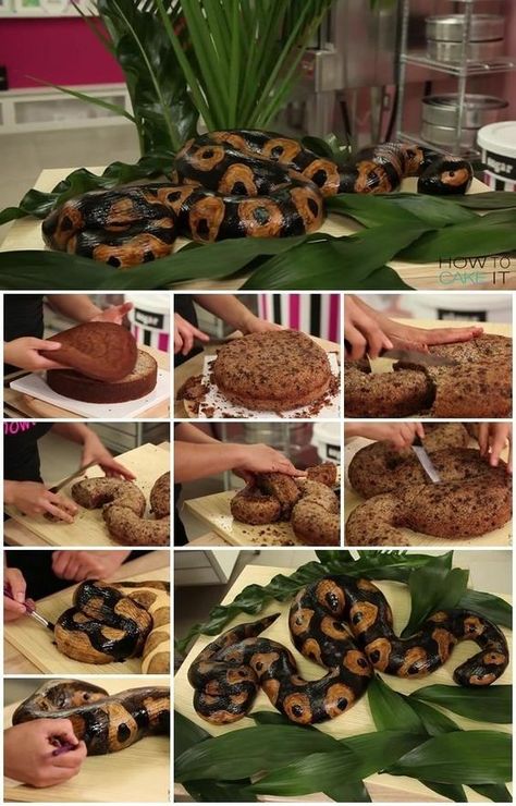 Reptile Cake, Snake Cake, Cake Step By Step, Diy Snake, Snake Cakes, Snake Birthday, How To Cake, Snake Party, Reptile Party