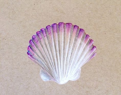 Prismacolor References, Shell Drawing, Food Art Painting, Fashion Coloring Book, Prismacolor Art, Realistic Pencil Drawings, Art Sketches Doodles, Sketchbook Drawings, Abstract Art Painting Diy