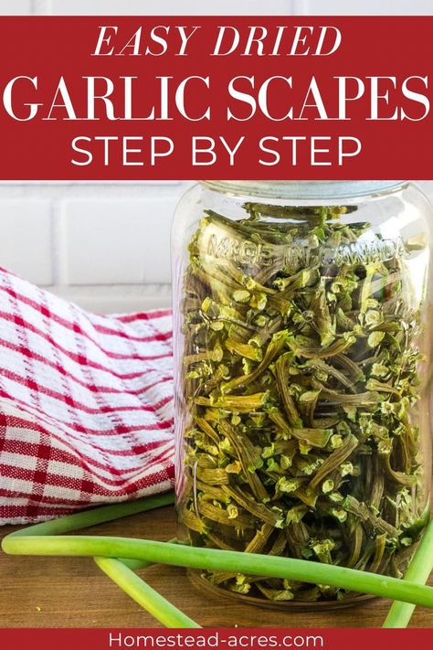 How To Dehydrate Garlic, Dehydrating Garlic, Dehydrate Garlic, Garlic Scape Pesto, Hardneck Garlic, Garlic Scapes, Pickled Garlic, Growing Garlic, Soups Stews