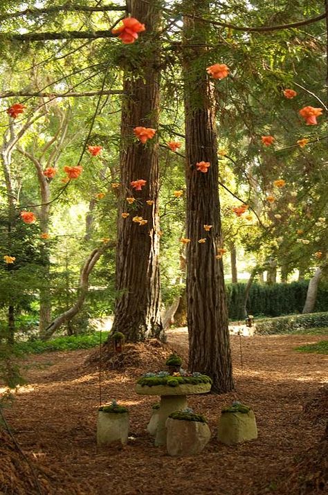 roses hung from tree branches ~ wedding in the park Colin Cowie Wedding, Orange Wedding Flowers, Floating Flowers, Hanging Flowers, Orange Roses, Wedding Ceremonies, Woodland Wedding, Orange Flowers, Wonderful Things