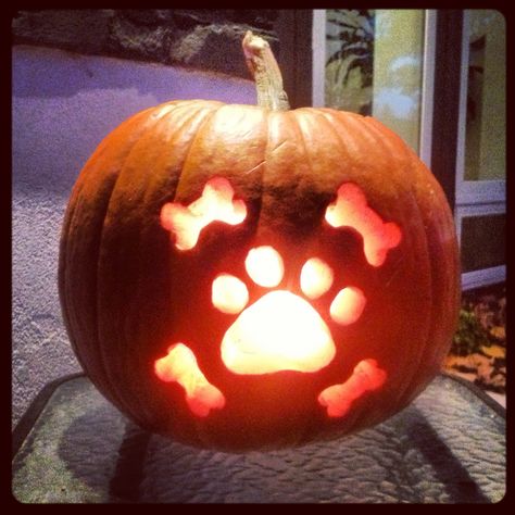 Dog jack-o-lantern for Halloween Paw Pumpkin Carving Ideas, Pumpkin Carving Ideas For Dogs, Dog Face Pumpkin Carving, Cute Dog Pumpkin Carving Ideas, Pumpkin Carving Ideas Dogs Easy, Dog Carving Pumpkin, Dog Pumpkin Carving Easy, Pumpkin Carving Dog Ideas, Pumpkin Carving Ideas Dog