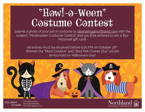 Halloween Pet Costume Contest Flyer, Funniest Costumes, Tampa Apartments, Cottage Meals, Resident Events, Pet Halloween Costumes, Halloween Costume Contest, Club Ideas, Funny Costumes