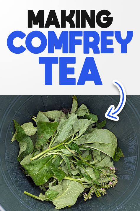 How To Make Comfrey Tea Fertilizer Tea Fertilizer, Herb Teas, Comfrey Tea, Hammock Area, Organic Plant Food, Rocket Fuel, Compost Tea, Herbal Recipes, Organic Plant