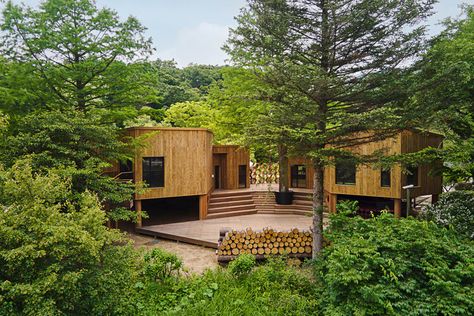 “Korea National Arboretum Children's Forest School” is used as an educational and exhibition space to inform children about the importance of forests and the environment in a fun and easy way through the building and the exhibition of outdoor spaces.  The architectural concept is based on the biophilic design in which nature, ecosystem and architecture coexist. The first starting point of this project is the harmony between the building and the existing trees. We preserve the old fir and cypress Biophilic Architecture, Outdoor Stage, History Project, Landscape Construction, Forest School, Rain Garden, Building Permits, Roof Garden, Exhibition Space