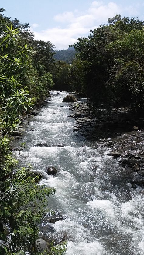 Mindo Ecuador, Ecuador Travel, Butterfly Life Cycle, Orchids Garden, In The Jungle, New Place, Adventure Activities, Travel Nature, Relaxing Day