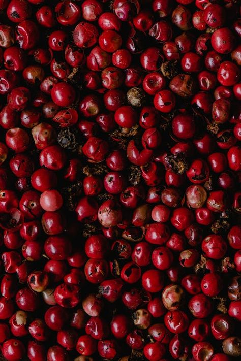 Red Cherries on White Ceramic Bowl · Free Stock Photo Kristen Kish, Commercial Food Photography, Pink Peppercorn, Food Art Photography, Fragrance Ingredients, Vegan Inspiration, Pink Pepper, Food Packaging Design, Rose Scented Products