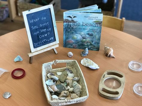 Ocean Provocations Preschool, Reggio Ocean Provocation, Beach Provocations, Ocean Provocation, Ocean Reggio Emilia, Reggio Emilia Ocean Activities, Kids Math Activities, Reggio Emilia Inspired, Reggio Inspired Classrooms