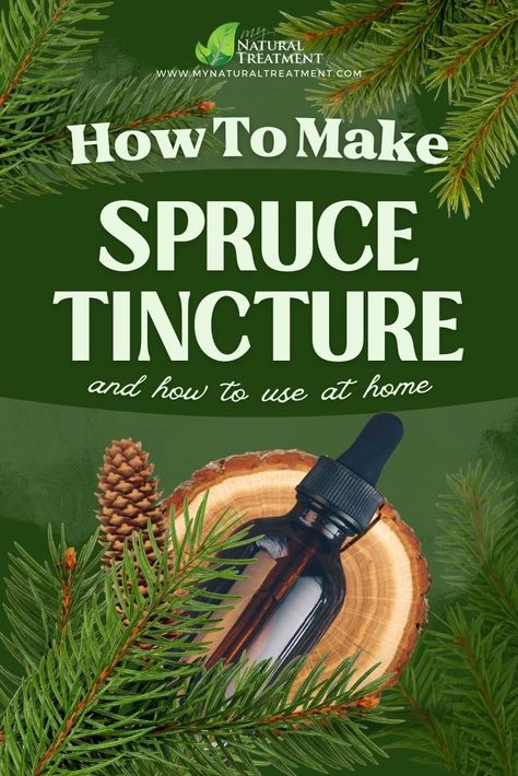 Pine Tincture, Pine Needle Tincture, Medicinal Herbs Remedies, Medicinal Wild Plants, Tinctures Recipes, Herbal Medicine Recipes, Herbal Remedies Recipes, Medical Herbs, Mountain Rose Herbs