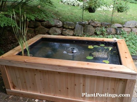 Raised pond Fish Pond Design, Above Ground Pond, Small Fish Pond, Raised Pond, Patio Pond, Building A Pond, Goldfish Pond, Garden Ponds, Pond Maintenance