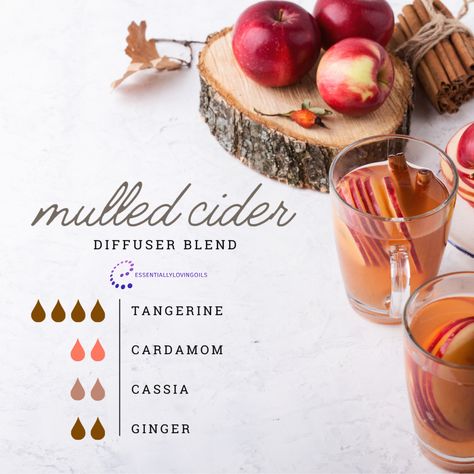 MULLED CIDER DIFFUSER BLEND If you love the smell of cider mulling on the stove, you’ll become obsessed with diffuser blend. I love it so much, I 4X’d the recipe and made a room spray with distilled water in a 4 oz spray bottle. Mulled Cider 4 drops Tangerine 2 drops Cardamom 2 drops Cassia 2 drops Ginger Do you prefer Mulled Cider or Mulled Wine? Essential Oil Spray Recipes, Essential Oils Video, Cardamom Essential Oil, What Are Essential Oils, Mulled Cider, Essential Oil Spray, Diy Aromatherapy, Diffuser Blend, Essential Oil Diffuser Blends