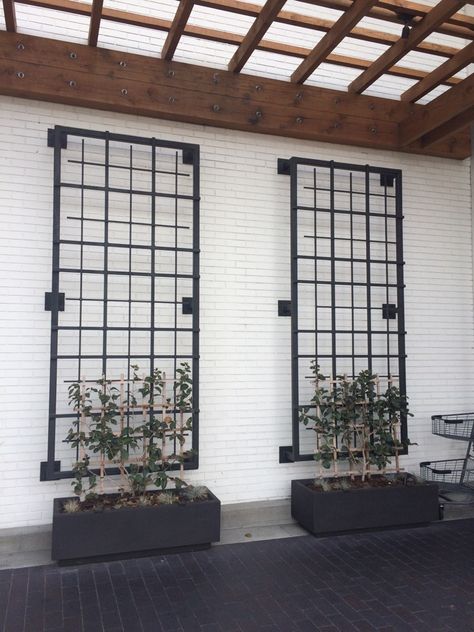 Steel Trellis Ideas, Modern Wall Trellis, Wall Mounted Trellis Outdoor, Garden Wall Trellis, Exterior Blank Wall Ideas, Outdoor Wall Trellis, Front Yard Trellis, Patio Plant Wall, Metal Trellis Ideas