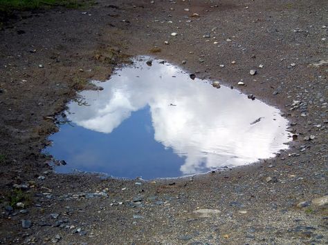 Weather Poetry, Water Reflection Photography, Puddle Of Water, Marble Artwork, Water Puddle, Natural Scenes, Reflection Photography, Flyer And Poster Design, Ink In Water