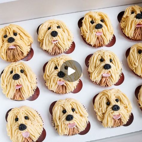 Puppy Cupcakes, Cupcake Videos, Golden Doodle, Goldendoodle, Of Course, A Box, Doodles, Puppies, Cake