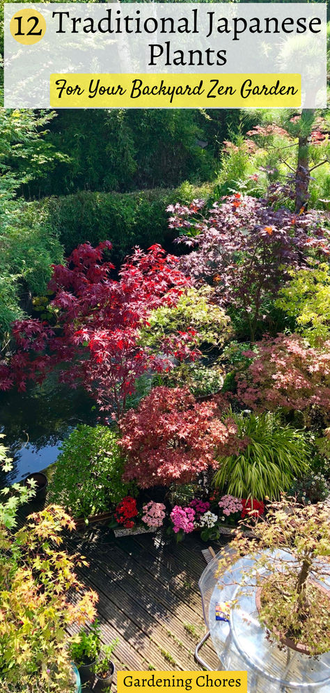 Transform your backyard into a tranquil haven with traditional Japanese plants. Embrace cherry blossoms, Japanese maples, and bamboo for elegance. Add moss, pine trees, and rocks for symbolism. Incorporate a water feature and irises for serenity. Introduce lanterns, bridges, or torii gates for architectural interest. Cultivate a mindful space, embracing wabi-sabi and regular grooming for a harmonious backyard Zen garden. Plants For A Japanese Garden, Asian Garden Backyard, Japanese Shrubs, Japanese Backyard Ideas, Shrubs Landscaping, Japanese Water Feature, Oregon Landscaping, Japanese Courtyard Garden, Backyard Zen