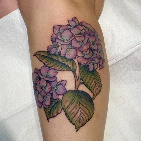 Hydrangea Half Sleeve Tattoo, Hydrangea Traditional Tattoo, Hydrangea Memorial Tattoo, Neo Traditional Hydrangea Tattoo, Hydrangea Tattoo Color, Hygrandea Tattoo, Hydrangea Reference, Hydragena Tattoos, Hydrangea Tattoo Design