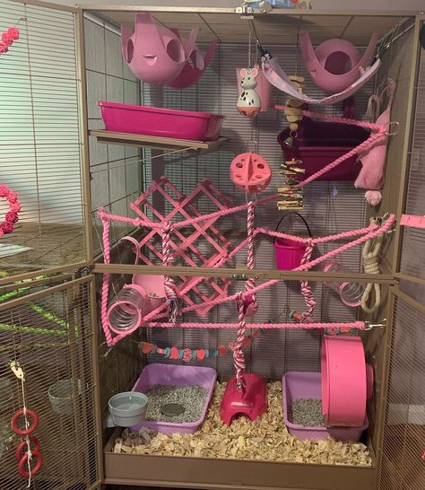 Pink Rat Cage, Cute Rat Cage, Rat Cage Set Up, Aesthetic Rat Cage, Homemade Rat Cage Ideas, Rat Toys Diy, Diy Rat Cage Accessories, Sugar Glider Cage Ideas, Rat Cage Ideas