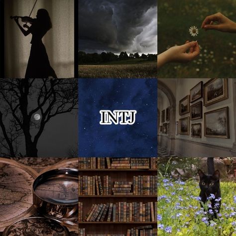 Intj Core Aesthetic, Intj Moodboard, Intj Girl, Intj Core, Intj Aesthetic, Intj Things, Intj Characters, Intj Humor, Intj Women