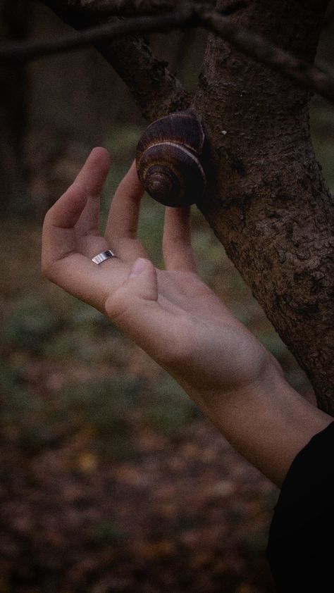 #magic #forest #autumn #priestess #fog #witch #sorcerer #wizard #hand #arms #ring #snail #reference #handreference Wizard Apprentice Aesthetic, Snail Reference, Hand Reference, Magic Forest, Dark Fantasy, Wizard, The Magic, Witch, Forest