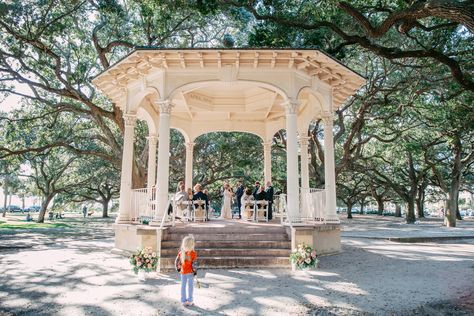 Intimate White, Spanish Moss Trees, Peach Color Palette, Tiger Lily Wedding, Peach Color Palettes, South Carolina Travel, Charleston Weddings, Charleston Sc Wedding, Red Photography