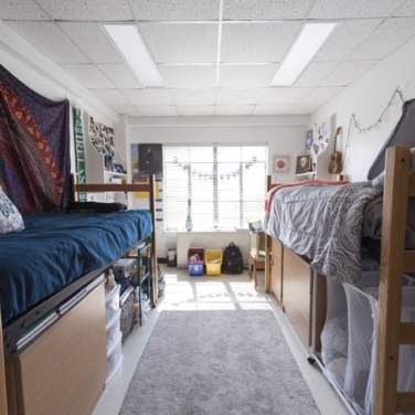 Laurel Hall : Housing & Residential Life : Texas State University Texas State Dorm, Hall Flooring, Ping Pong Tables, Dorm Room Designs, Wifi Internet, Texas State University, Bedroom Size, Window Sizes, Dining Hall