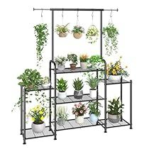 Corner Plant Shelf, Child Activities, Tattoo Plant, Iron Plant Stand, Corner Plant, Support Pour Plante, Window Plants, Support Plante, Opening Design