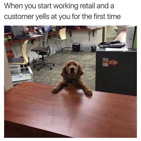 Customer Service Humor, Customer Service Funny, Working Retail, Retail Humor, Funny Memes About Life, Working In Retail, Memes Of The Day, Memes Hilarious, Work Memes