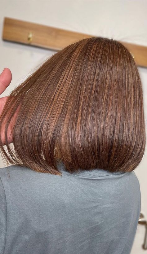 30 Cute Ways To Wear Brown Hair This Autumn 2021 : Volume Smooth Silky Brown Hair Chestnut Brown Bob, Hot Chocolate Hair Color, Brown Hair Colour Shades, Dark Chestnut Hair Color, Toffee Highlights, Chocolate Brown Bob, Hair Colour Shades, Dark Chestnut Hair, Toned Balayage