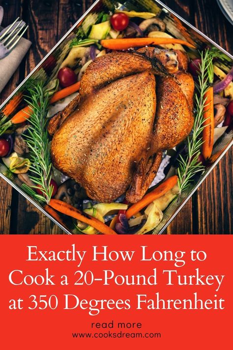 Turkey Baking Times, Best Turkey Injection Recipe, Turkey In Electric Roaster, 20 Lb Turkey, Turkey Injection, Turkey In Oven, Basting A Turkey, Turkey Roast, Butterball Turkey