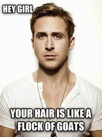 Hey girl...quoting from Song of Solomon.  Best ever. Choir Humor, Ryan Gosling Meme, Therapy Classroom, Hey Girl Ryan Gosling, Hunger Games Memes, What Do You Meme, Hunger Games Humor, Happy Birthday Quotes Funny, Funny Happy Birthday