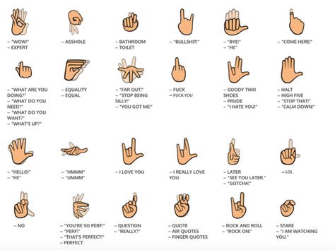 Signily is a new mobile keyboard app for sending texts and emails in American Sign Language, which means signers can finally communicate over mobile with the nuance and texture of ASL, not just written English. (iOS and Android) Emojis Meanings, Simple Sign Language, Sign Language Chart, Sign Language Lessons, Sign Language Phrases, Sign Language Words, Asl Sign Language, Sign Language Alphabet, Asl Signs