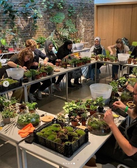 Reminiscing on the fab time had at the @gardenmuseum for the Houseplant Festival a couple of weeks ago 💚⁠ ⁠ Thank you to everyone who came by to see us, and thank you to those of you who joined us for our terrarium making workshop! Houseplant Workshop, Workshop Ideas For Women, Planting Workshop, Gardening Workshop, Succulent Workshop, Terrarium Making, Terrarium Shop, Plant Workshop, Terrarium Workshop