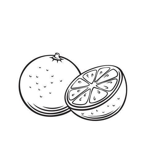 Fruit Outline Drawing, Fruits Outline, Fruit Outline, Food Outline, Orange Outline, Orange Icon, Orange Vector, Orange Icons:), Monochrome Illustration