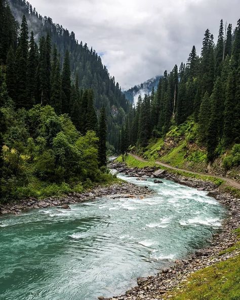 UNILAD Adventure on Instagram: “"Though whole Neelum valley is very beautiful but beyond Kel the beauty of Neelum valley is totally at different level ❤" 📸…” Neelum Valley, Photography Club, Walking In Nature, Wonderful Places, Vacation Spots, Insta Travel, Landscape Art, Landscape Paintings, Landscape Photography